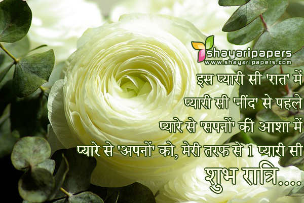 pyari si good night shayari sms