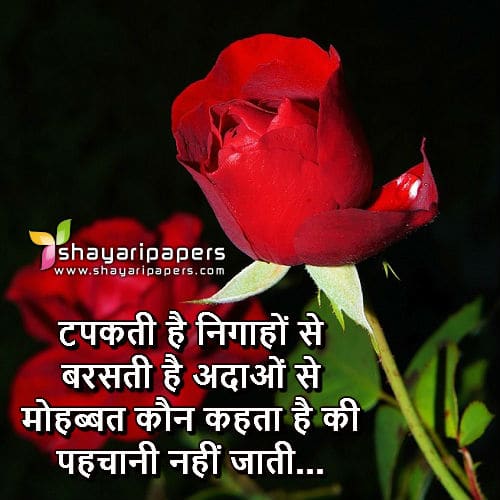 Mohabbat Shayari Wallpaper Picture Facebook Whatsapp