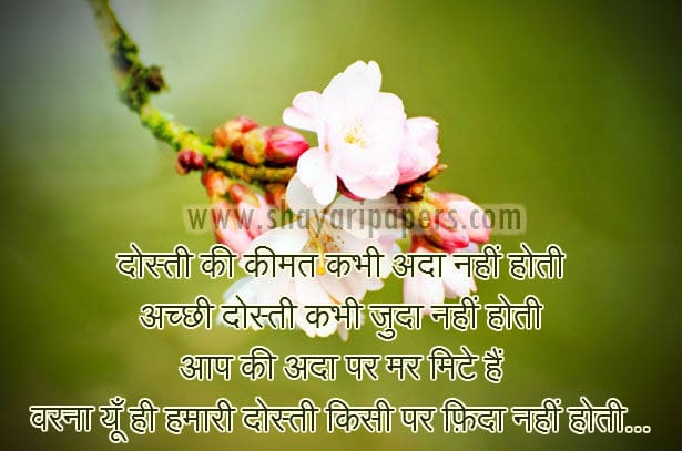 naseeb shayari dp photo