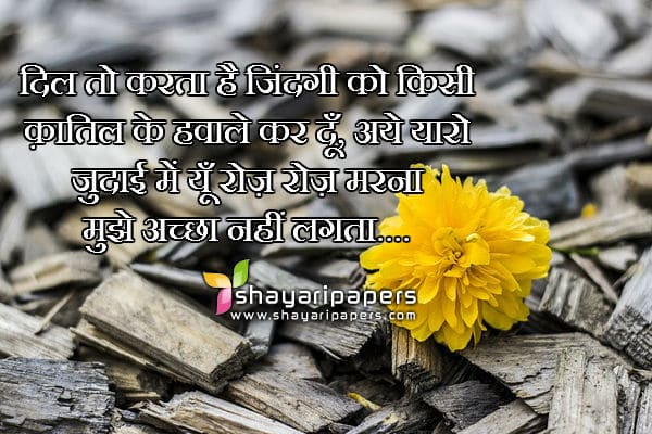 katil shayari dp image wallpaper photo