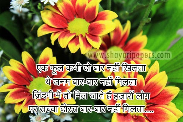 sacha dost shayari dp image photo